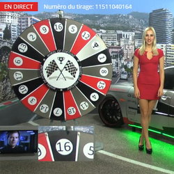 Roue de la Fortune sur Dublinbet Casino