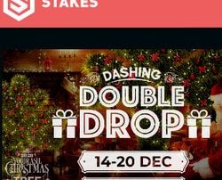 Promo spéciale pour les fetes de Noel 2020 sur Stakes