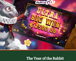 Dublinbet fête l'année du lapin via un tournoi de slots