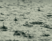 Pluie
