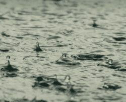 Pluie