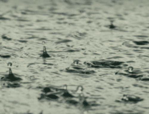 Il gagne un jackpot progressif au casino grâce à la pluie