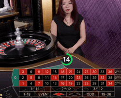 Native Live Dealer